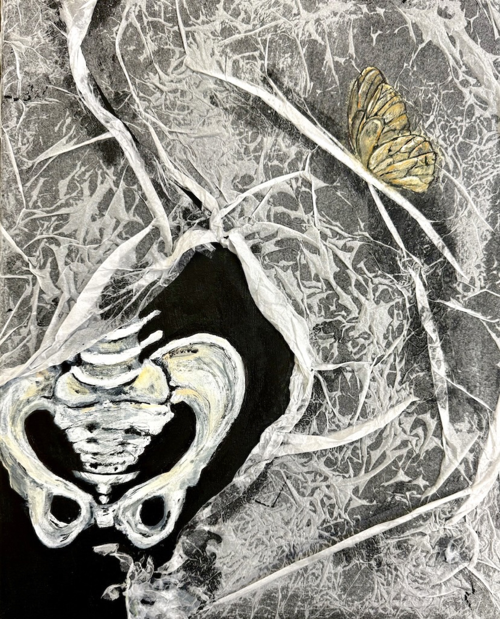 Butterfly and Pelvis