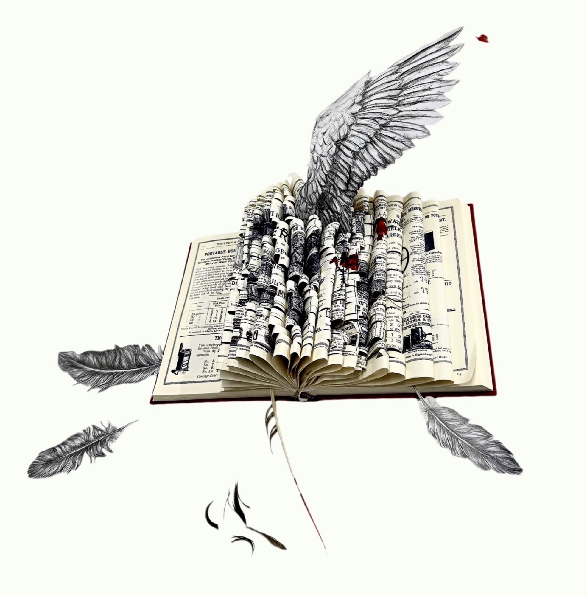 The Wings of a Book